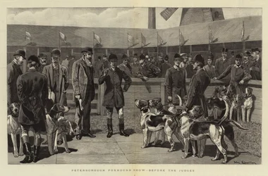 Peterborough Foxhound Show, før dommerne